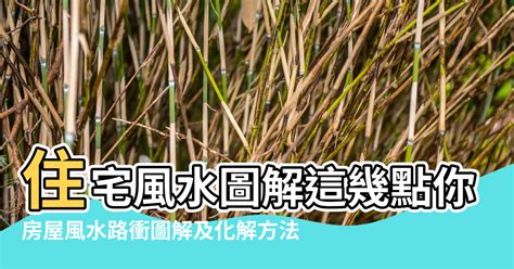 路沖 風水|風水科學：「路沖」是什麼？「十個路沖九個凶」有科。